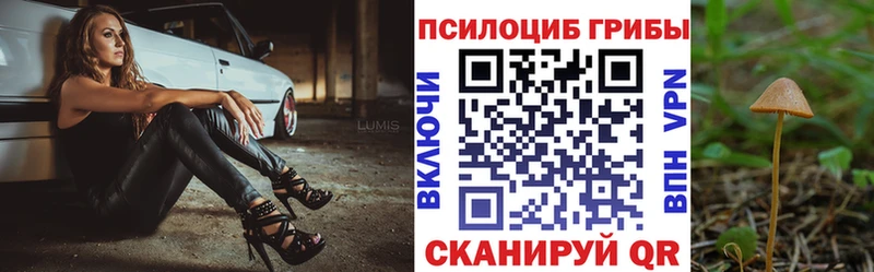 Галлюциногенные грибы MAGIC MUSHROOMS  где можно купить наркотик  Белая Холуница 